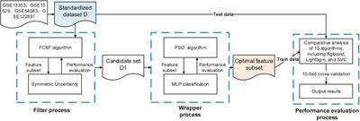 Frontiers A Two Stage Hybrid Gene Selection Algorithm Combined With